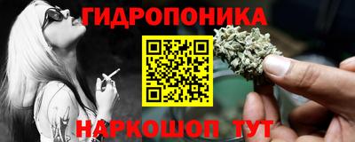 jwh Шебекино