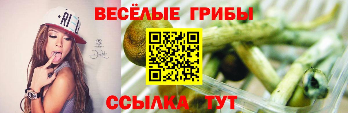 Псилоцибиновые грибы ЛСД  Вход с VPN  Борзя 